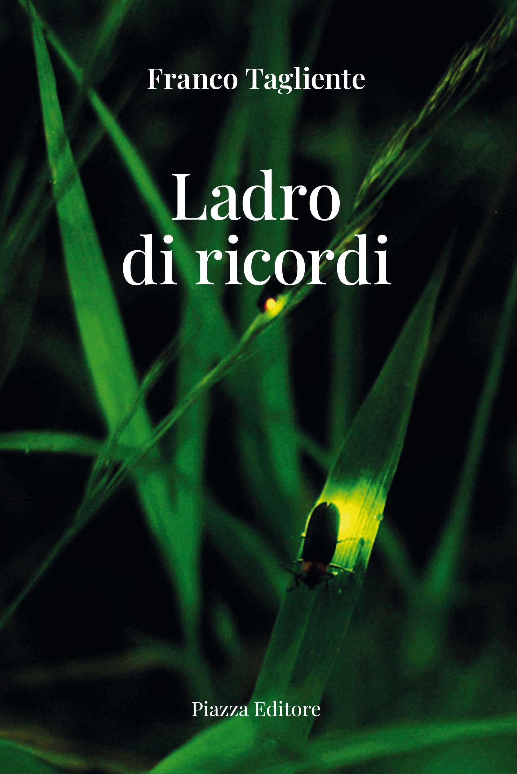 Scopri di più sull'articolo Ladro di ricordi